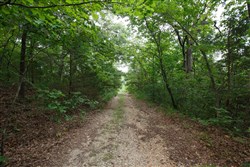 property photo for Springlake Plat 2 Tract 37, 0.2 acres for sale in Miller County, Missouri