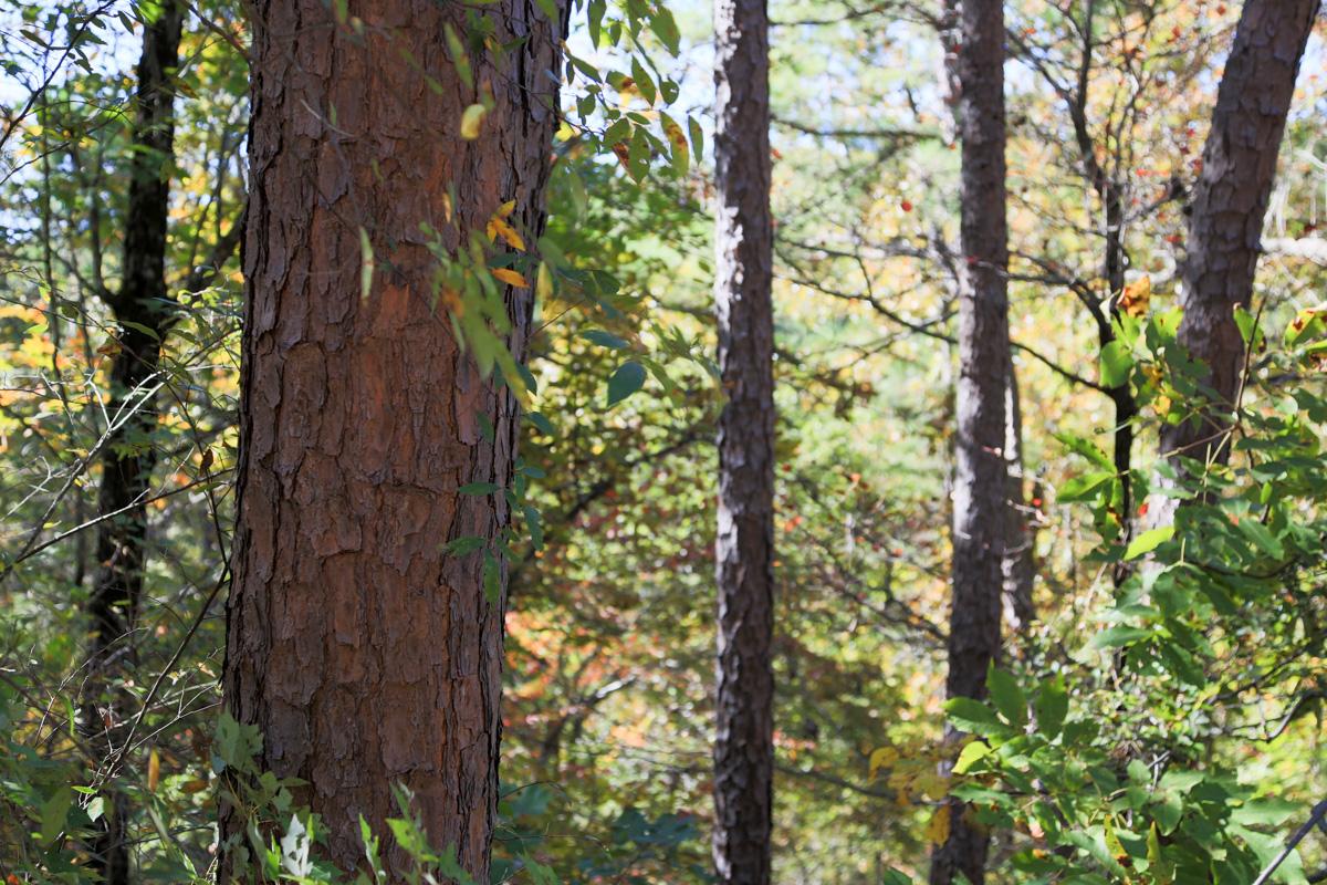 Tract 102 at Stone Creek Phase I in Latimer County, Oklahoma
