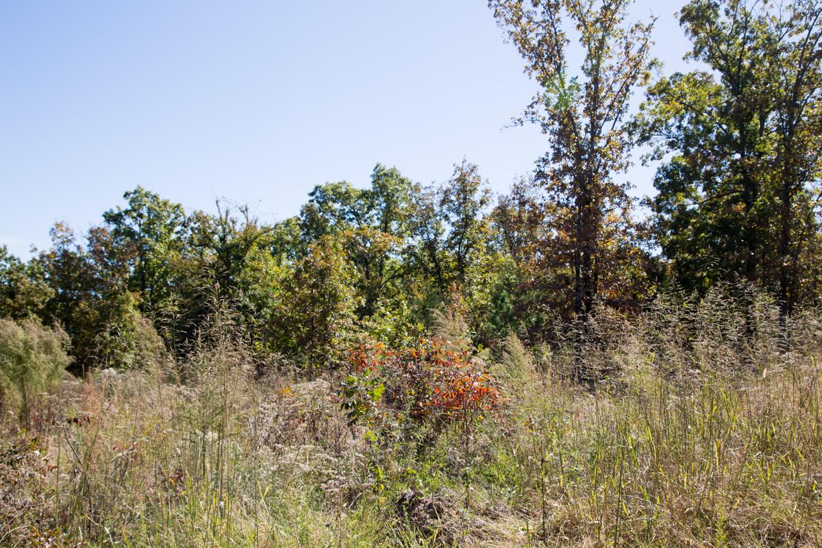 Tract 103 at Stone Creek Phase I in Latimer County, Oklahoma