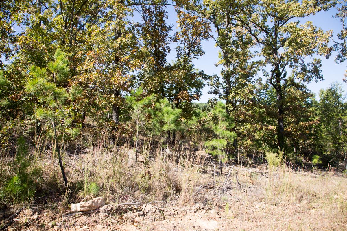 Tract 113 at Stone Creek Phase I in Latimer County, Oklahoma