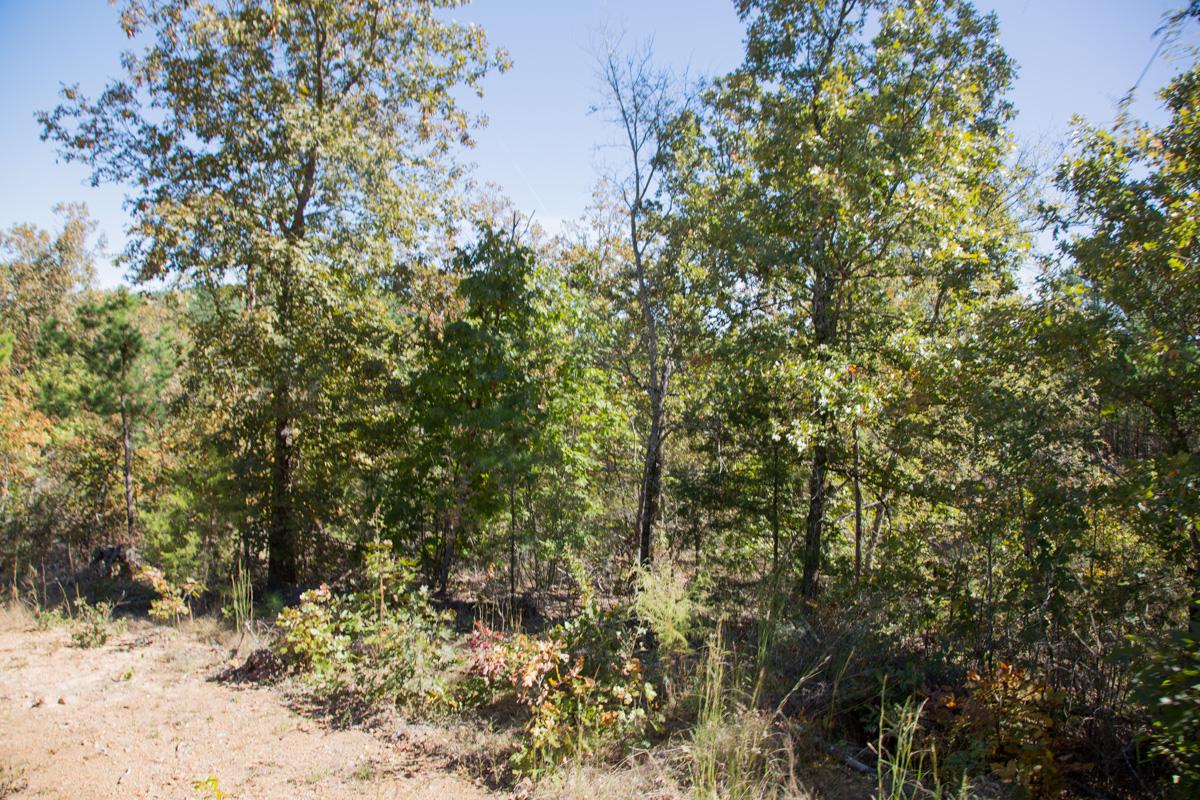 Tract 114 at Stone Creek Phase I in Latimer County, Oklahoma