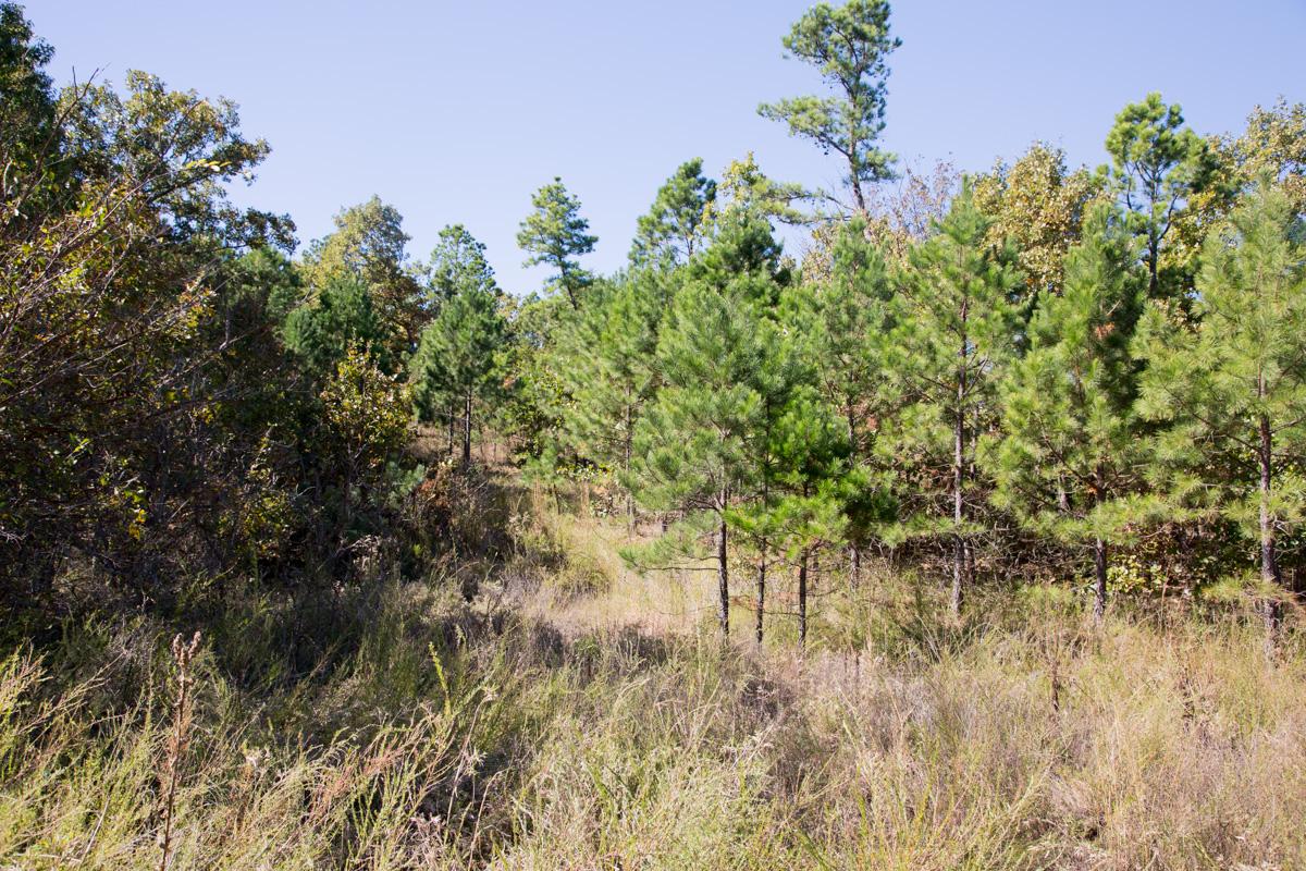 Tract 148 at Stone Creek Phase I in Latimer County, Oklahoma
