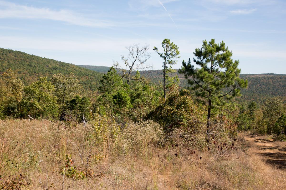 Tract 151 at Stone Creek Phase I in Latimer County, Oklahoma