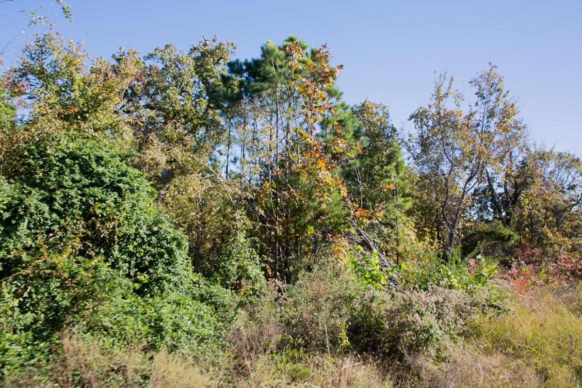 Tract 157 at Stone Creek Phase I in Latimer County, Oklahoma