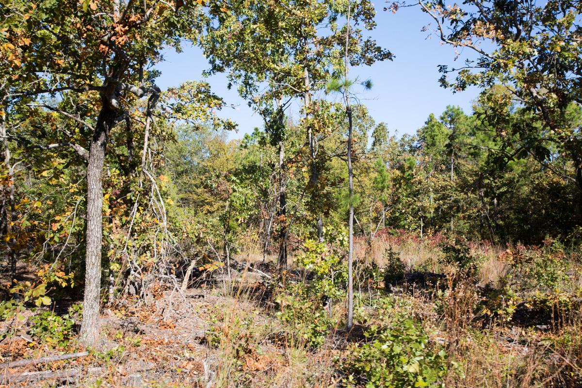 Tract 159 at Stone Creek Phase I in Latimer County, Oklahoma