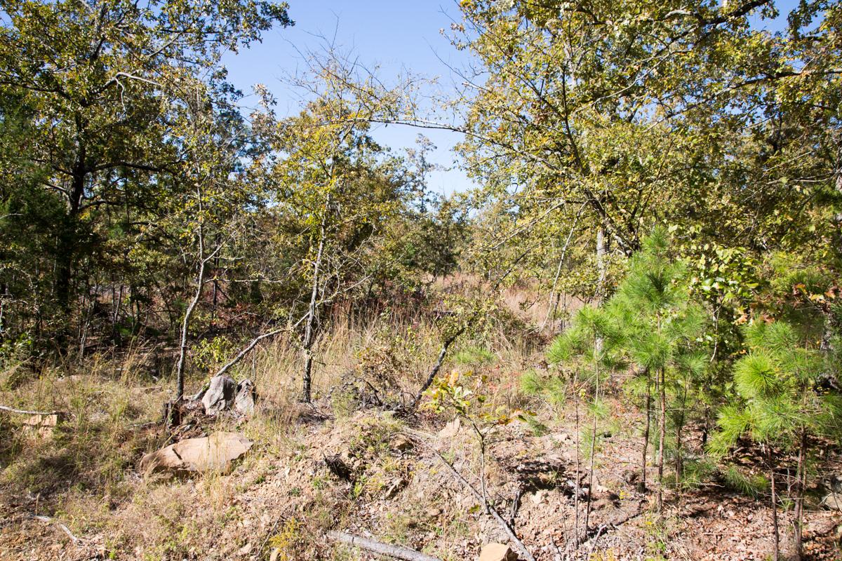 Tract 171 at Stone Creek Phase I in Latimer County, Oklahoma