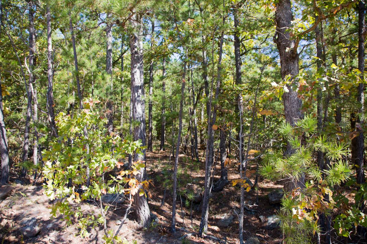 Tract 172 at Stone Creek Phase I in Latimer County, Oklahoma
