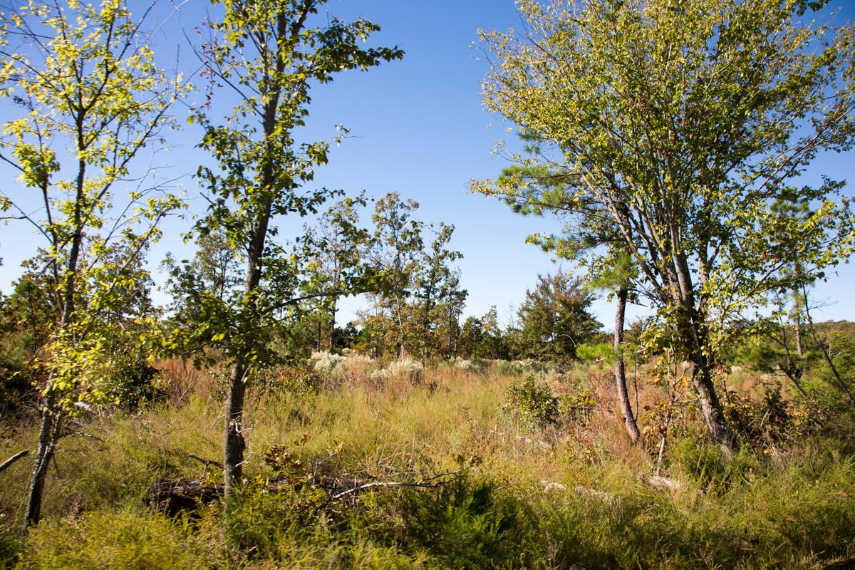 Tract 174 at Stone Creek Phase I in Latimer County, Oklahoma