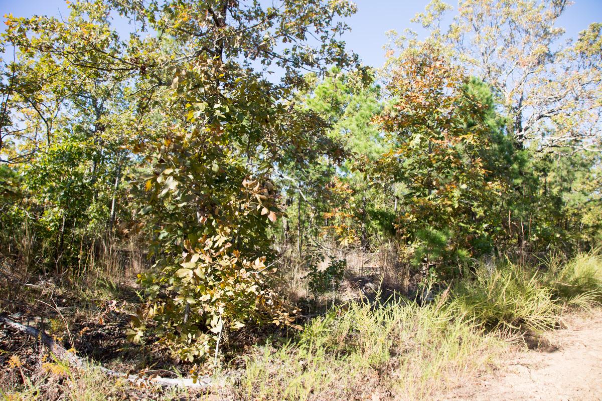 Tract 175 at Stone Creek Phase I in Latimer County, Oklahoma