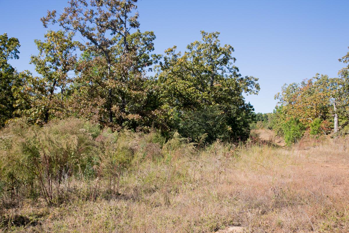 Tract 177 at Stone Creek Phase I in Latimer County, Oklahoma