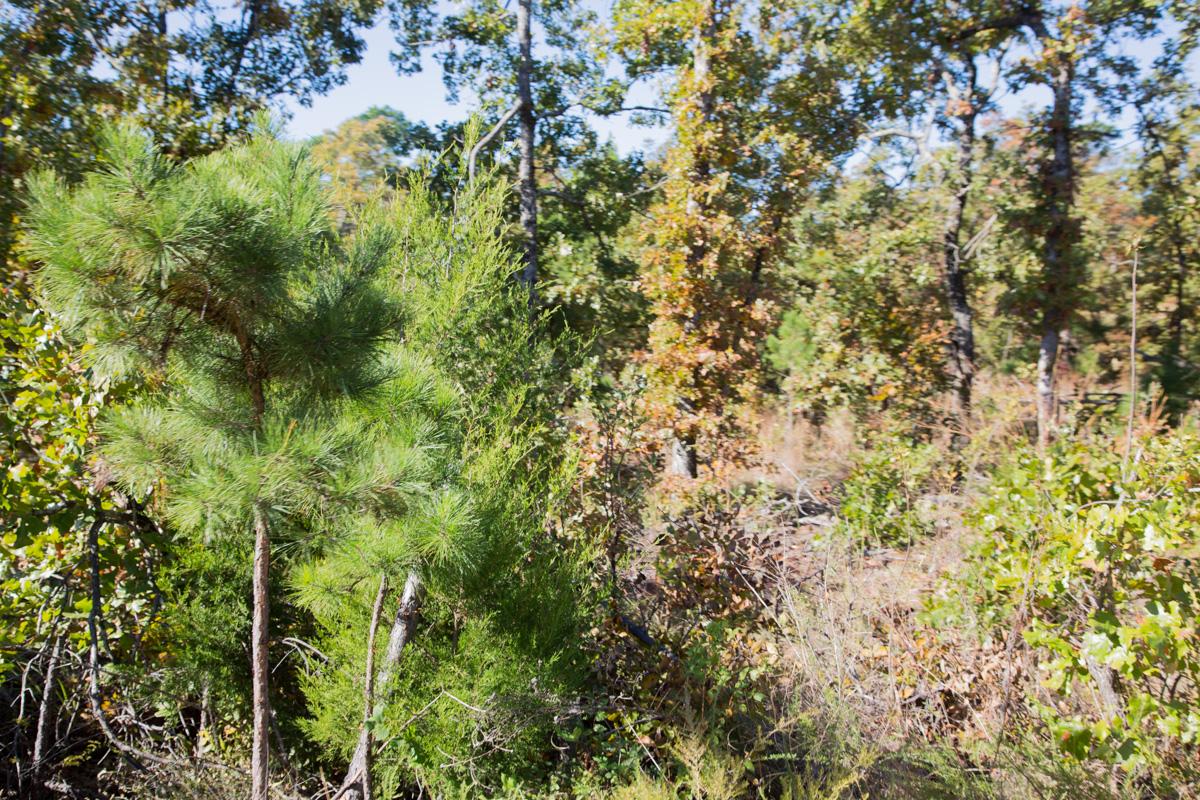 Tract 179 at Stone Creek Phase I in Latimer County, Oklahoma