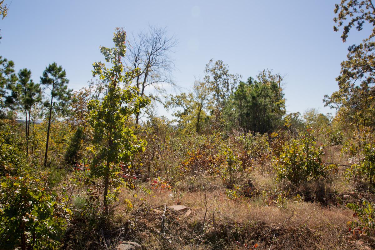 Tract 180 at Stone Creek Phase I in Latimer County, Oklahoma